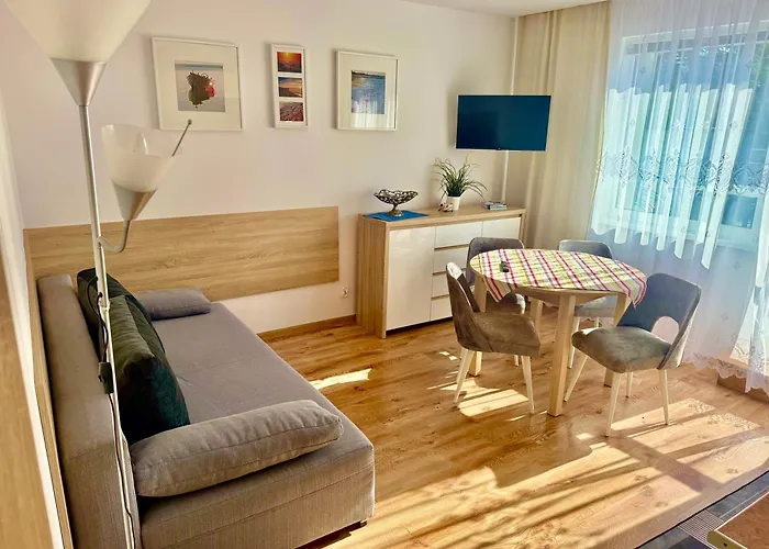 Meduza * Władysławowo